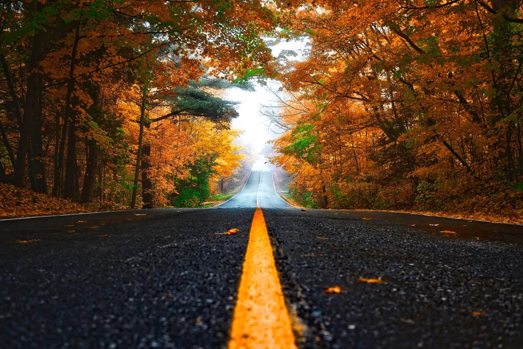 Thanksgiving Travel Tips for Better Holiday Travel - McIntosh Energy